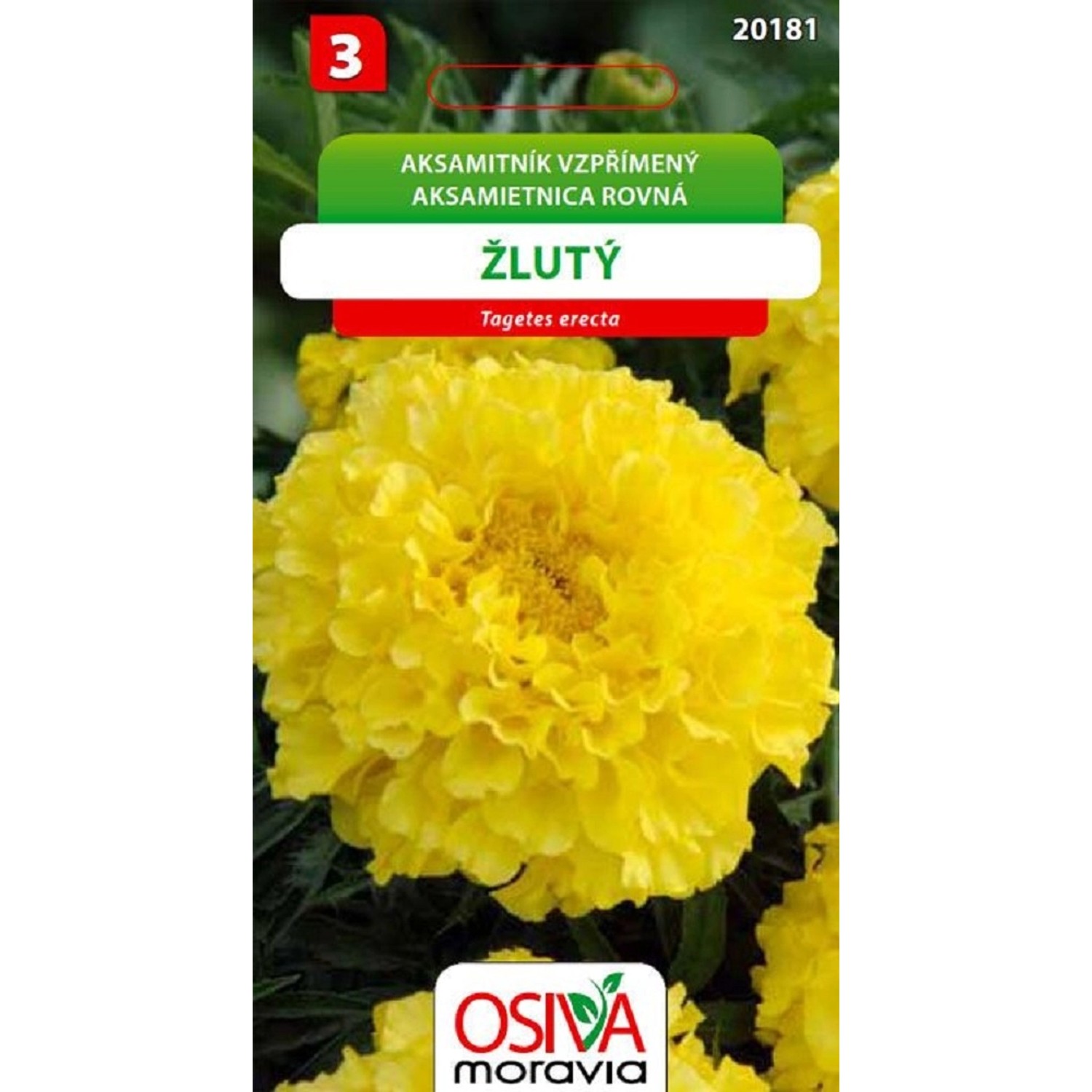 Semínka Aksamitník vzpřímený žlutý (Tagetes erecta)