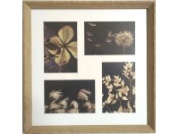 Bondecor Fotorám 1826PLF plastový, dřevo, 34 x 34 cm Bondecor Fotorám 1826PLF plastový, dřevo, 34 x 34 cm