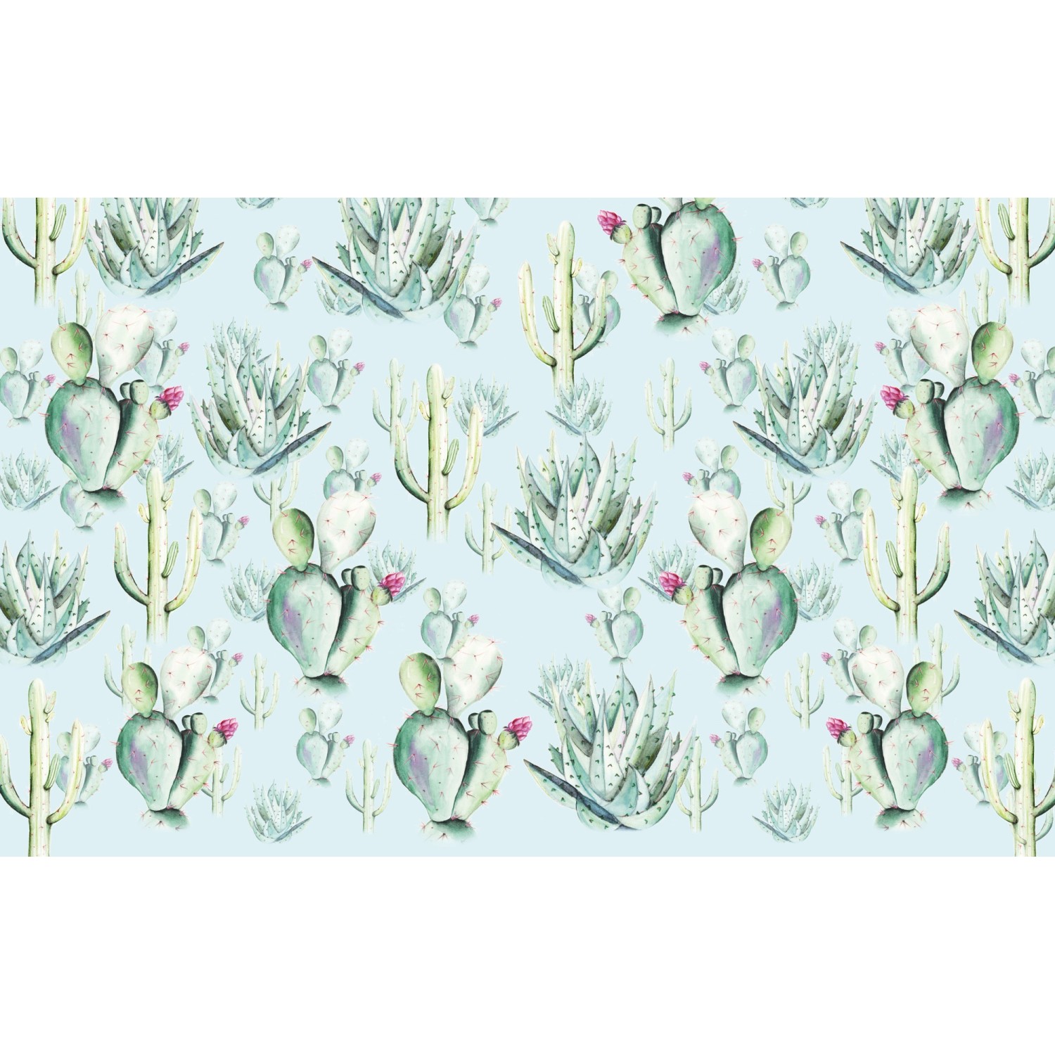 Komar Vliesová fototapeta Cactus Blue 400 x 250 cm
