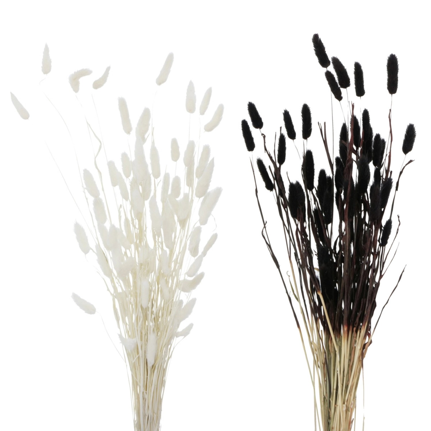 Boltze Dekorativní větvička různé barvy 70 x 4 x 16 cm, 1 ks