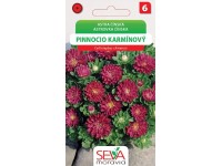 Semínka Astra čínská Pinnocio karmínový (Callistephus chinensis)