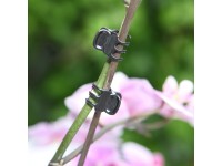 Floraworld Sada sponek na orchideje 10dílná antracitová