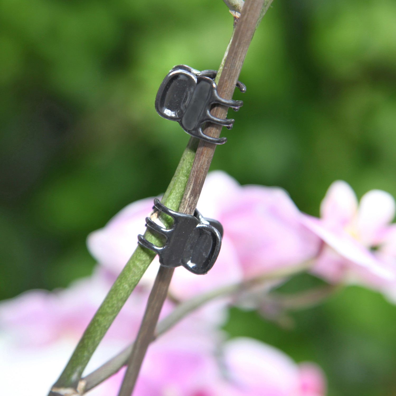 Floraworld Sada sponek na orchideje 10dílná antracitová