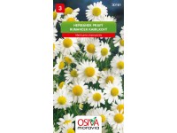 Semínka Heřmánek pravý (Matricaria chamomilla) Semínka Heřmánek pravý (Matricaria chamomilla)