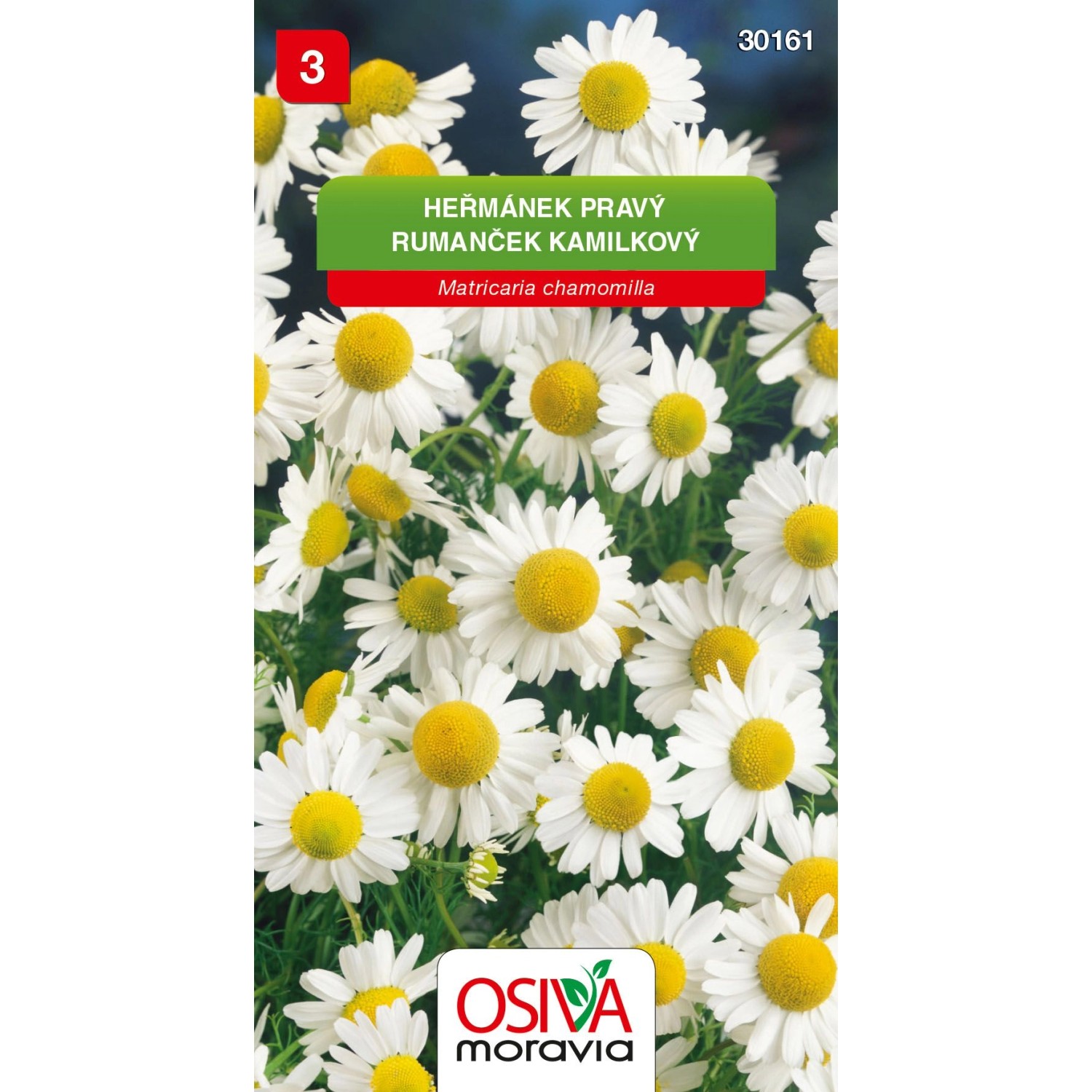 Semínka Heřmánek pravý (Matricaria chamomilla)
