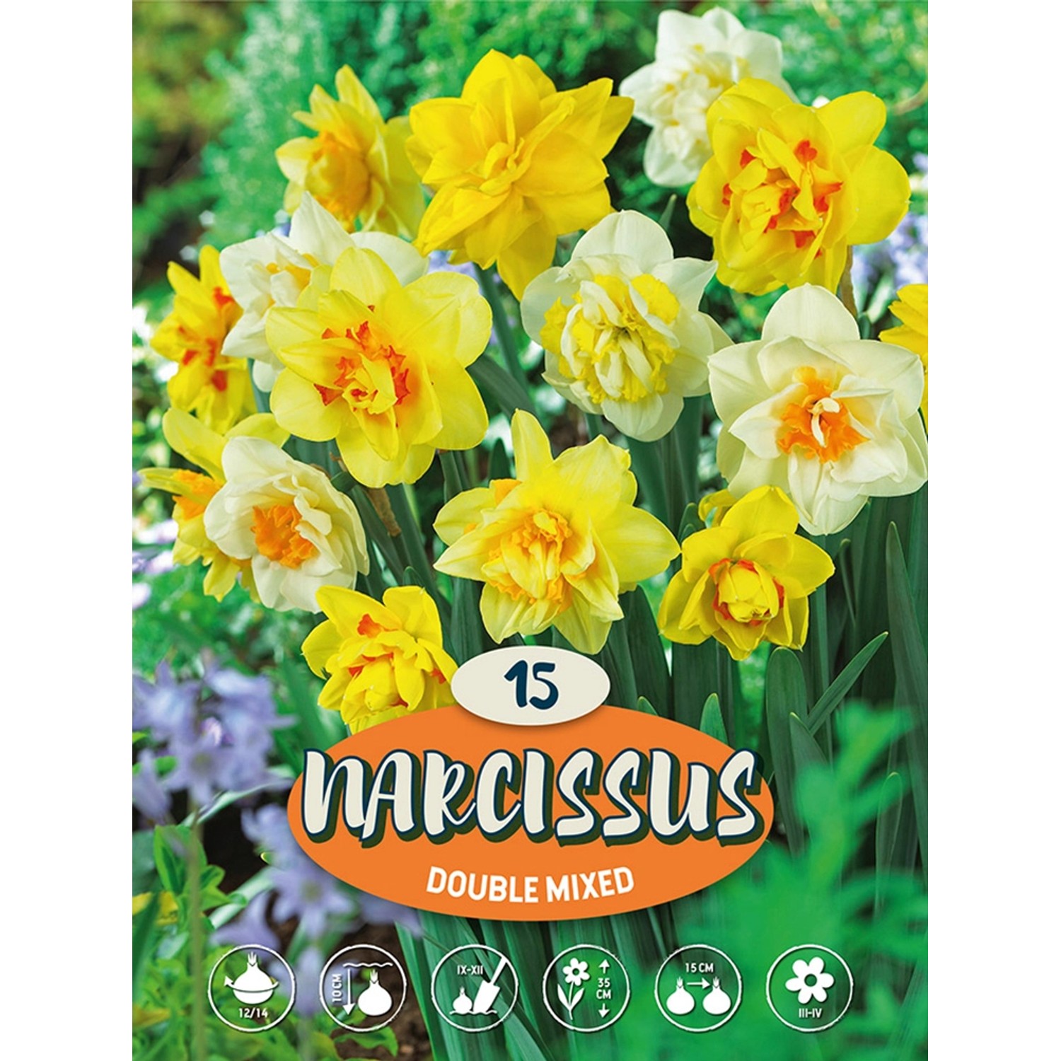 Narcisy "Mix plnokvětých narcisů" vícebarevné