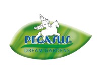 Pegasus