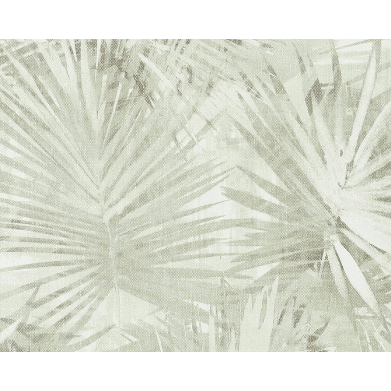 A. S. Creation Vliesová tapeta Attractive Palmový list světle zelený