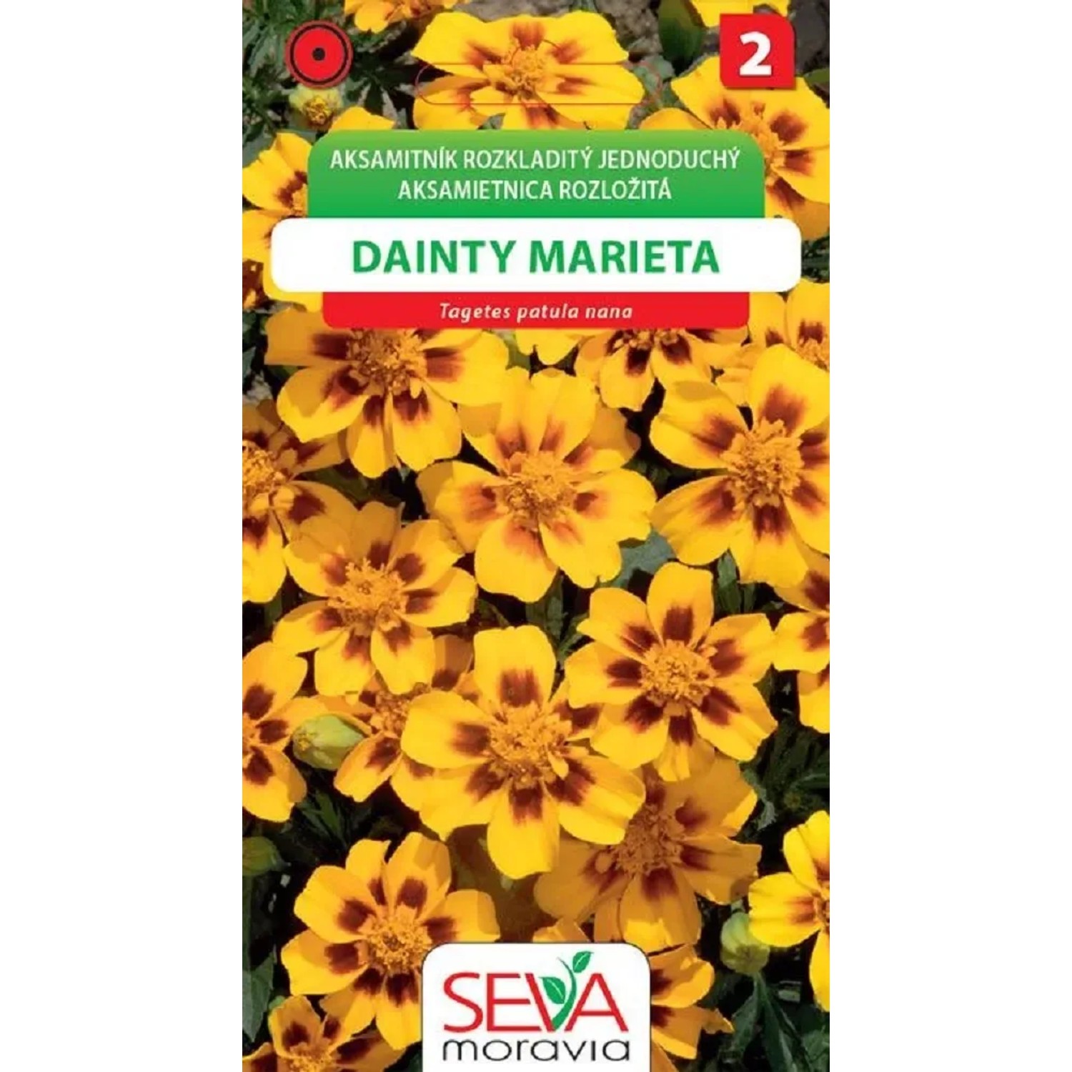 Semínka Aksamitník Rozkladit.jednod. Dainty Marieta (Tagetes patula nana single)
