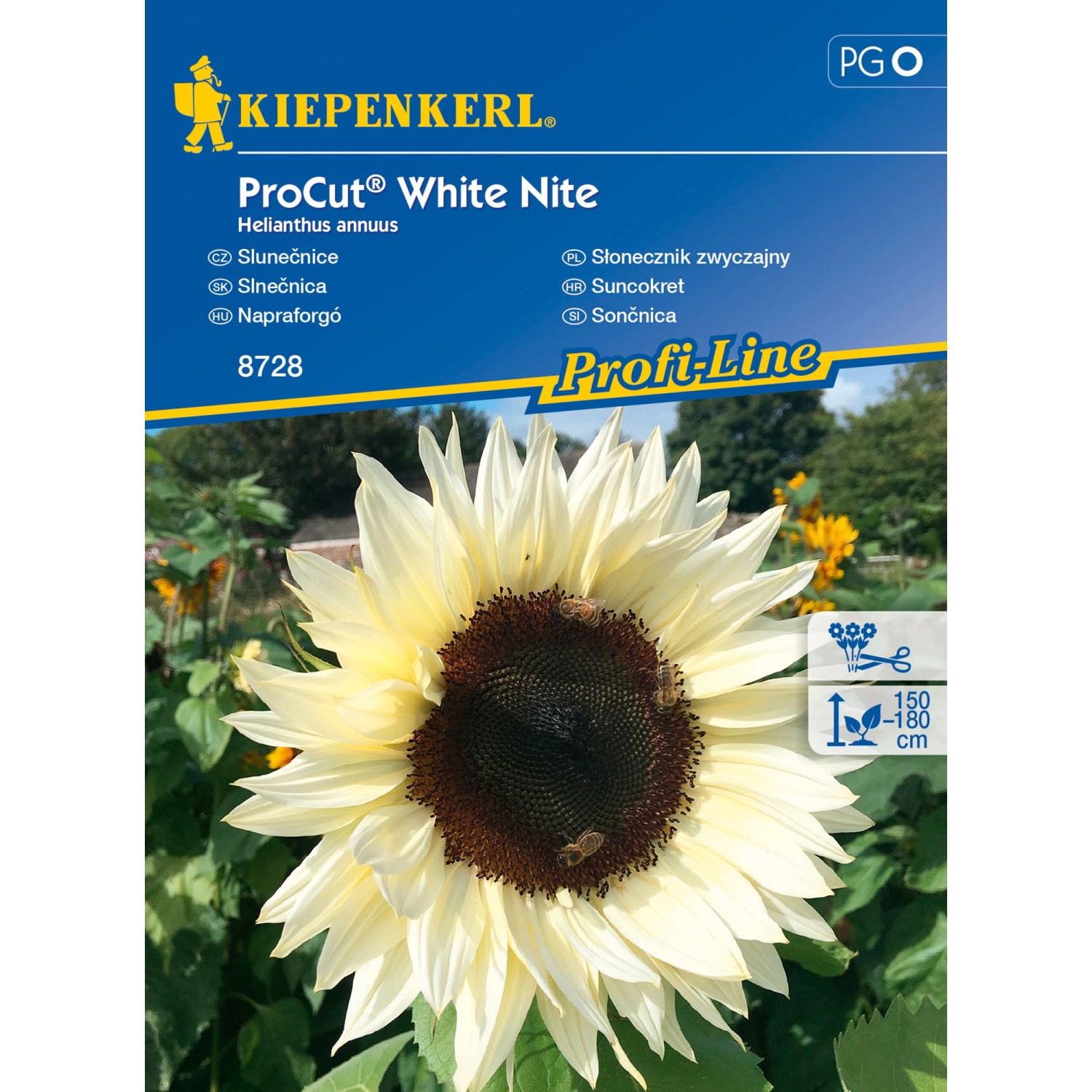 Kiepenkerl Slunečnice ProCut White Nite