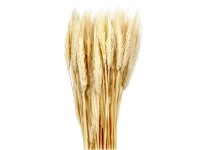 NOHEL GARDEN Sušená dekorace Triticum - pšenice přírodní 40 g NOHEL GARDEN Sušená dekorace Triticum - pšenice přírodní 40 g