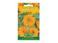 Gardenie Slunečnice roční plnokvětá, tmavě žlutá