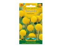 Gardenie Kraspédie, žlutá