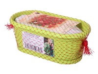 Nohel Garden Truhlík Malý zahradník substrát + jahoda 22 cm