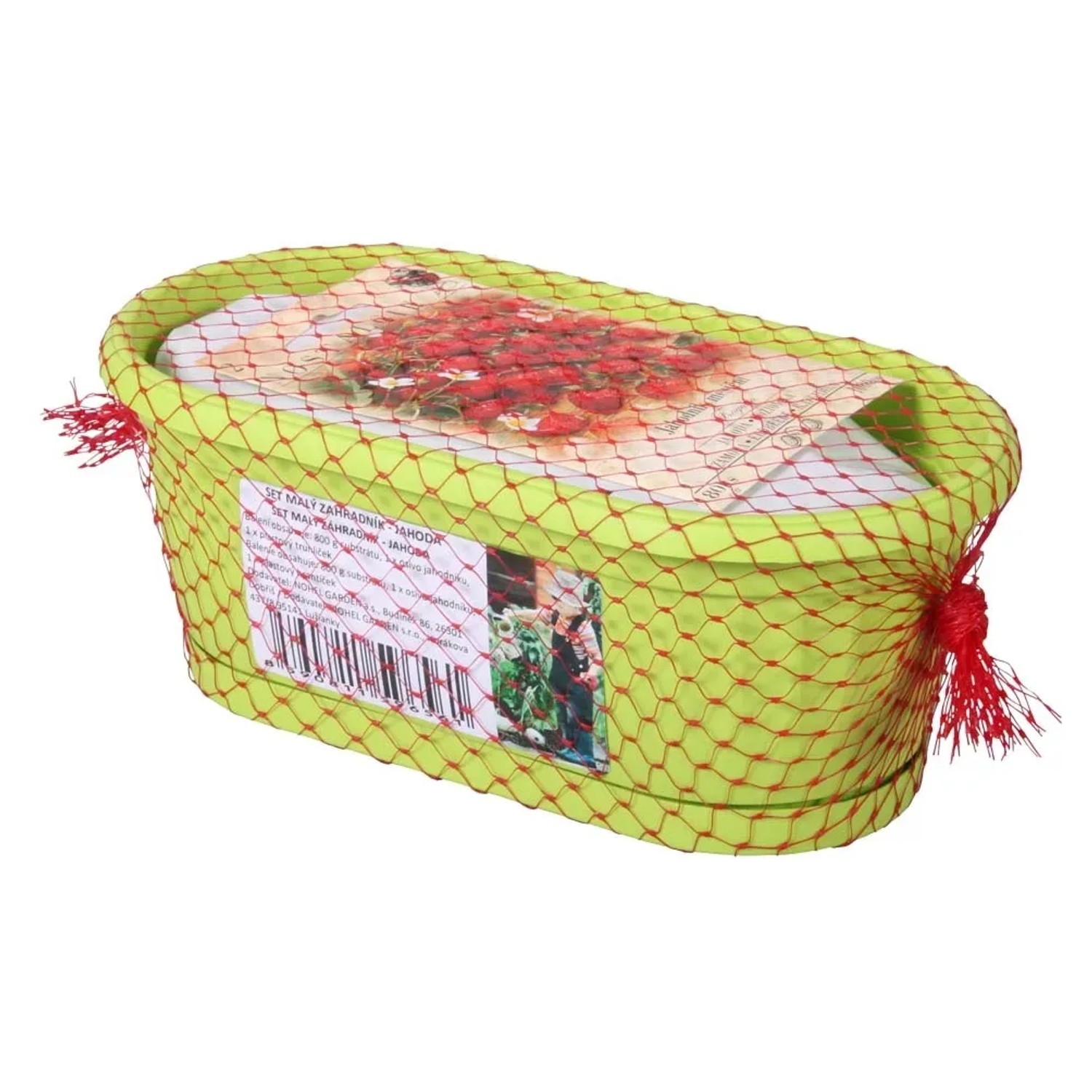 NOHEL GARDEN Truhlík Malý zahradník substrát + jahoda 22 cm