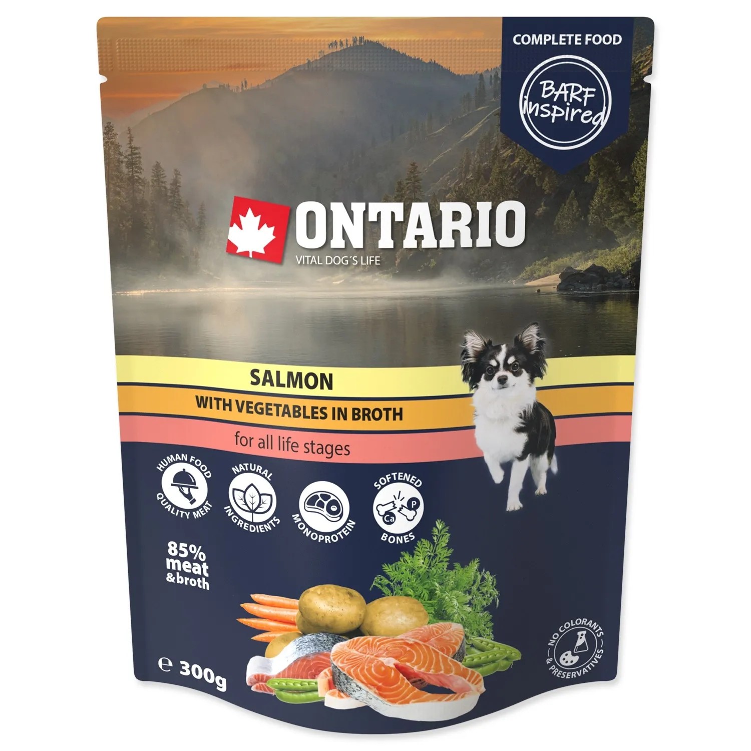 Levně ONTARIO Kapsička pro psy s lososem a zeleninou ve vývaru 300 g