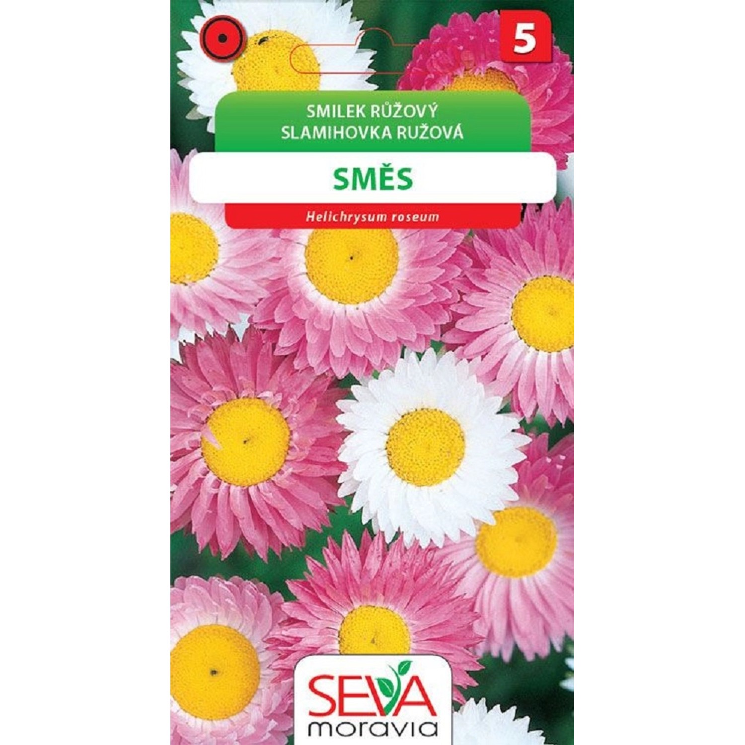 Semínka Smilek růžový směs (Helichrysum roseum)