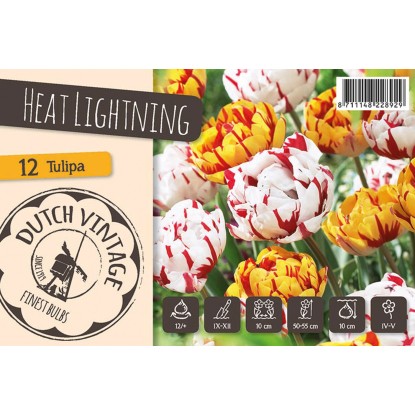 Směs cibulovin Heat Lightning Mix