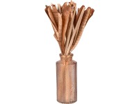 Sušené květiny ve váze Desert Flower 30 cm tmavě hnědé