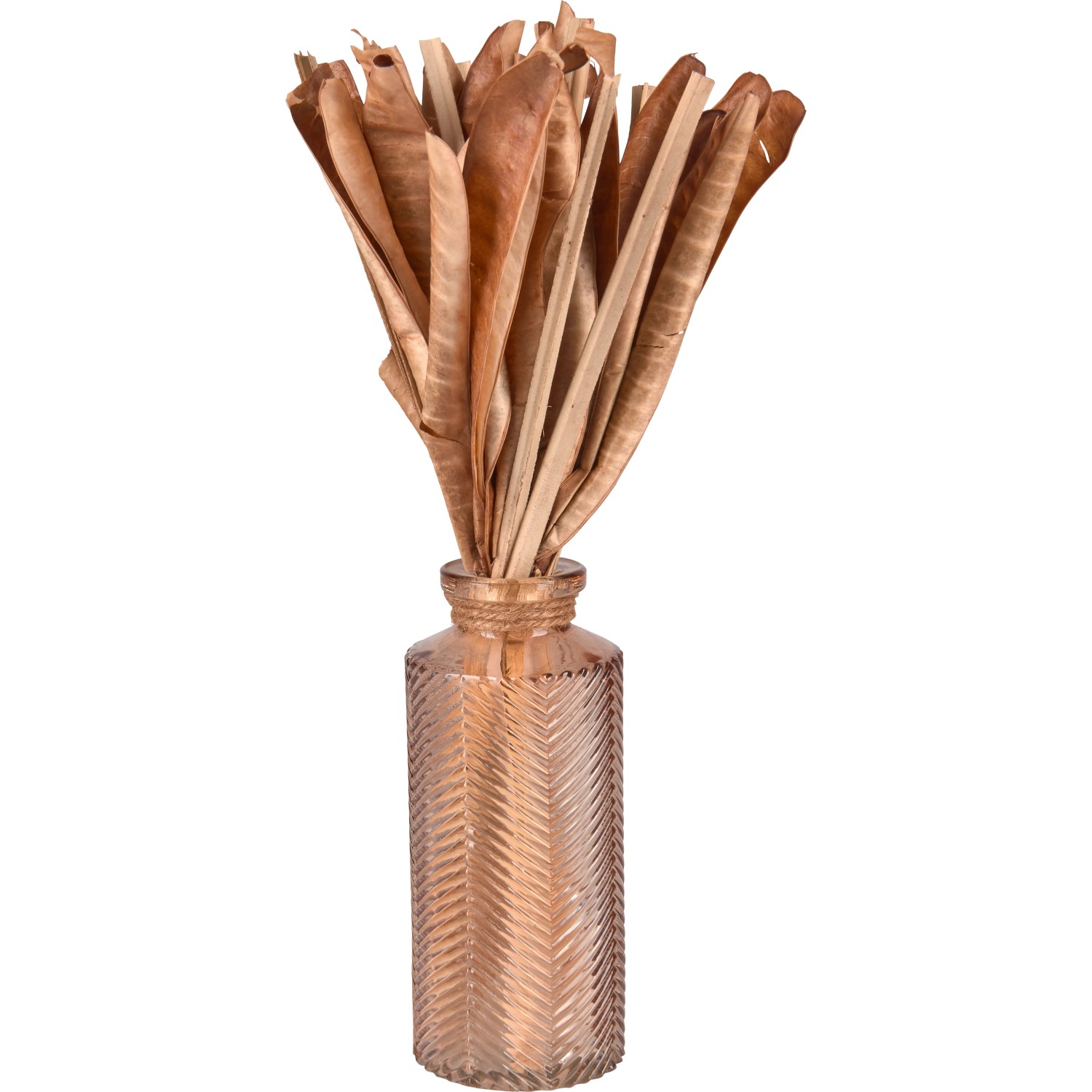 Sušené květiny ve váze Desert Flower 30 cm tmavě hnědé