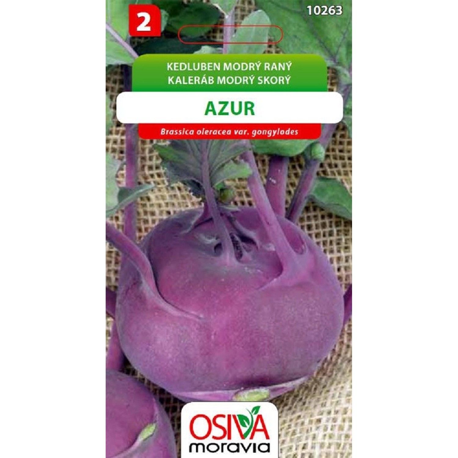 Semínka Kedluben modrý raný Azur (Brassica oleracea var. gongylodes)