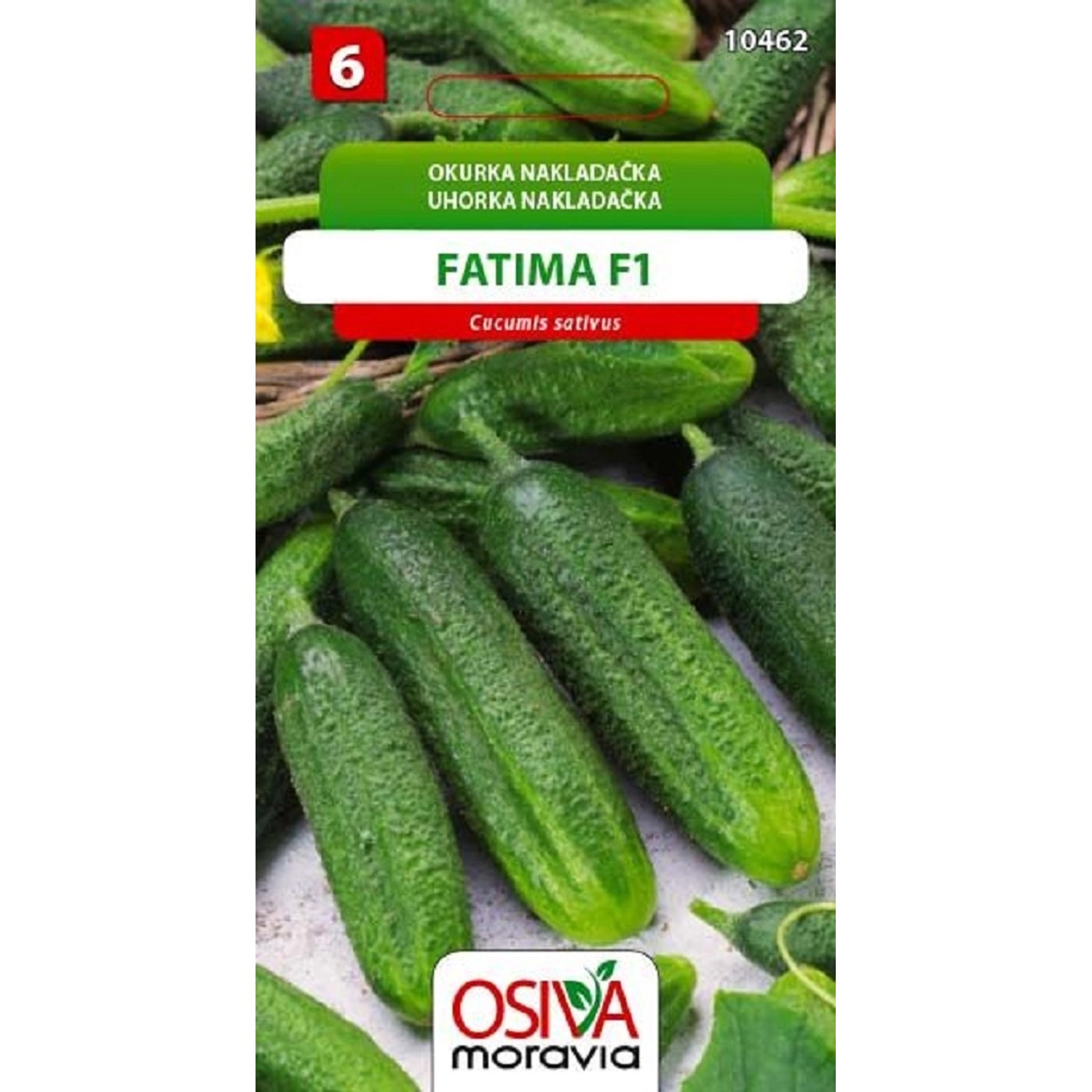 Semínka Okurka nakládačka Fatima F1 (Cucumis sativus)
