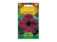 Gardenie Petunie zvlněná třepenitá F1 - hybrid, bordó