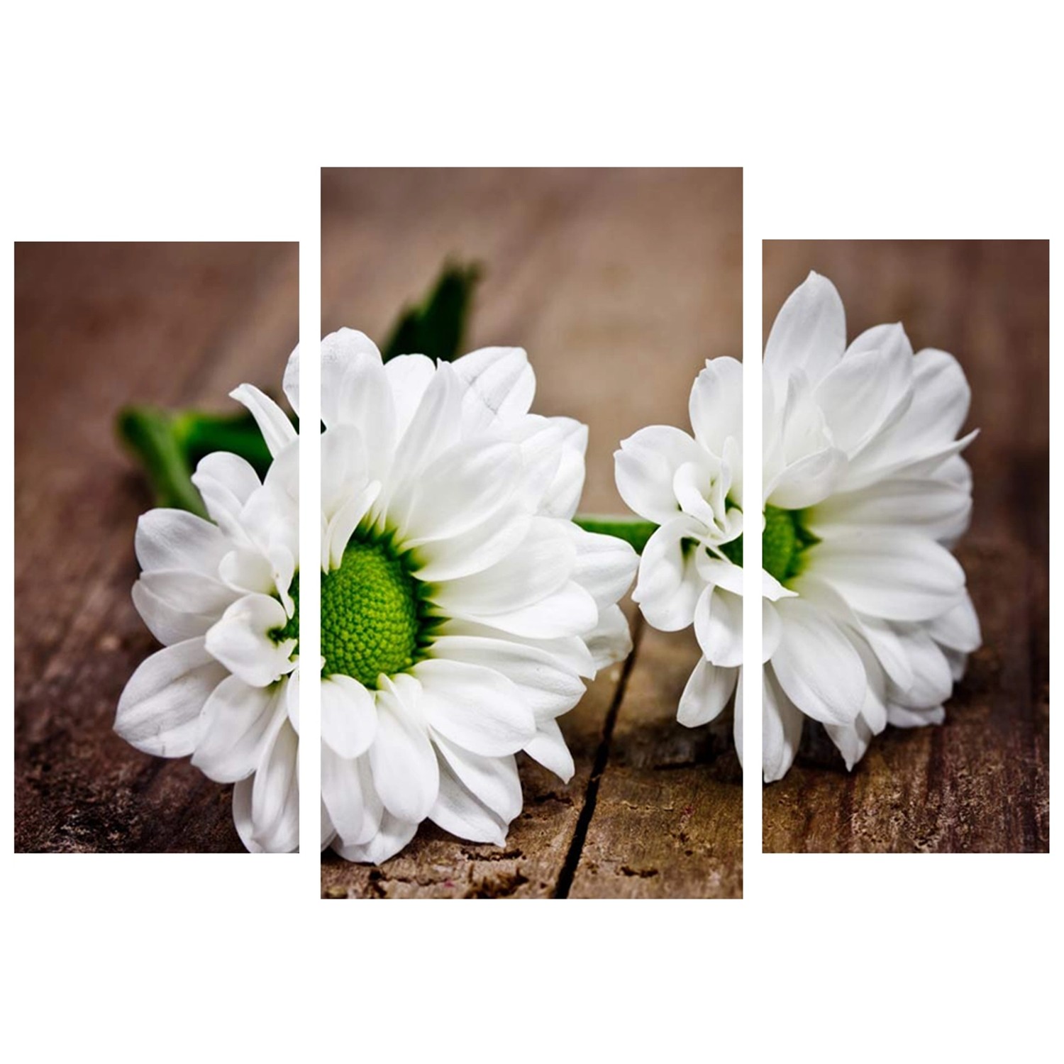 Bondecor 3dílná sada obrazů Flora 50 x 70 cm