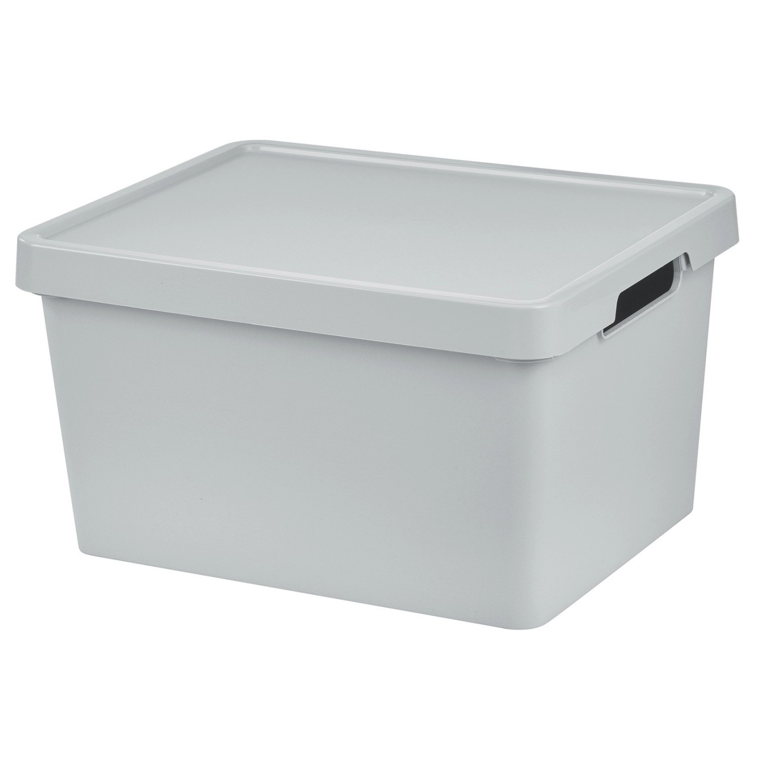 Tontarelli Úložný box MAYA L s víkem světle šedá, 38,5 x 33 x 54,5 cm, 16,2 l