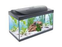 Tetra Kompletní akvárium Starter Line 54 l, 61 x 36 x 32 cm