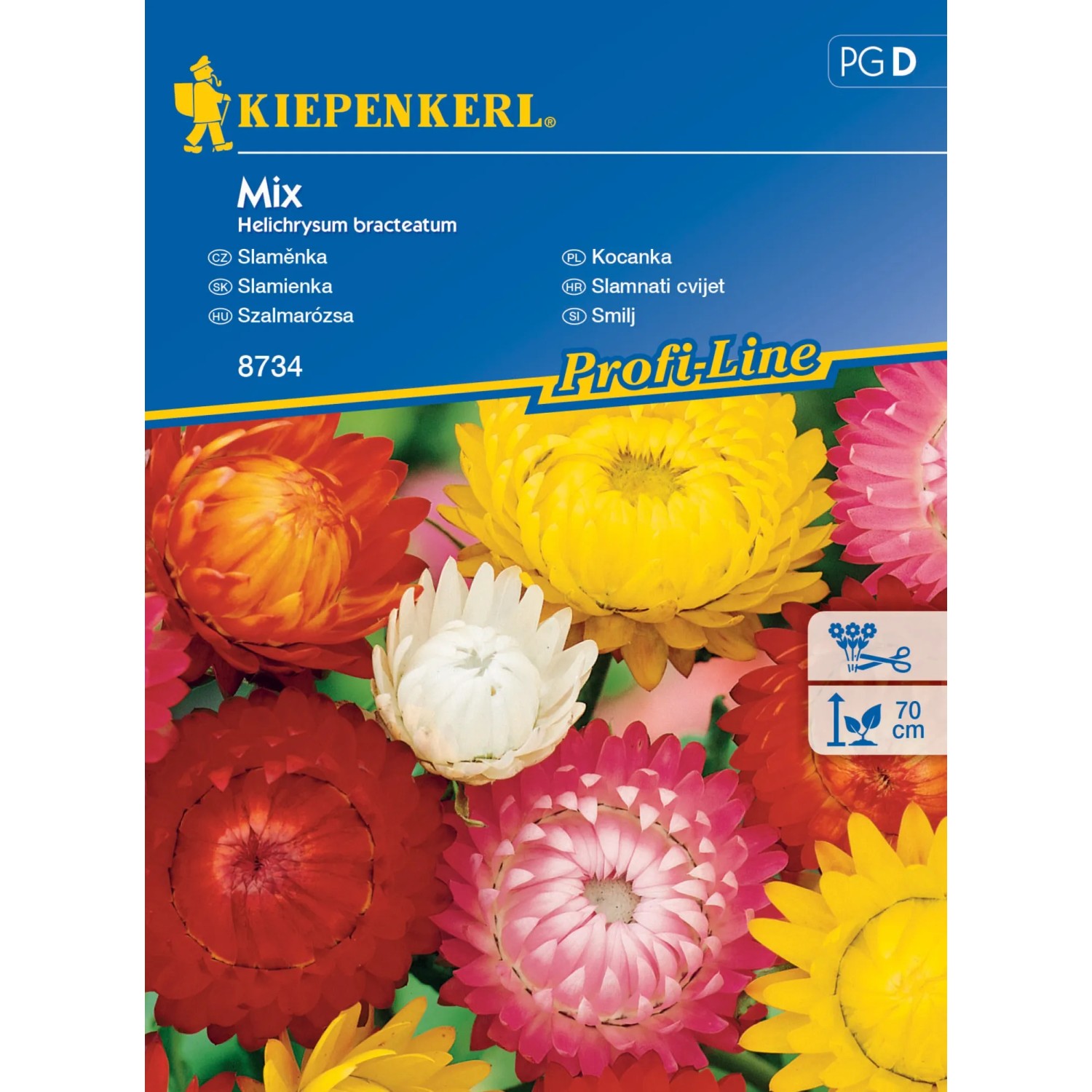 KIEPENKERL Slaměnka (Helichrysum bracteatum) Mix