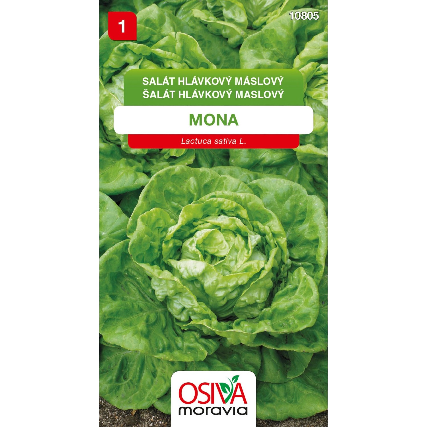 Semínka Salát hlávkový máslový Mona (Lactuca sativa L.)
