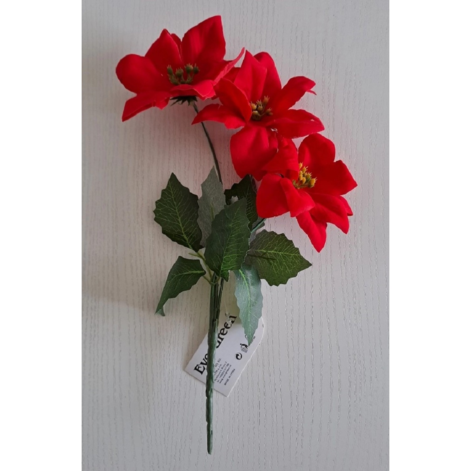 EverGreen Vánoční dekorace květy poinsetie červené pr. 20 cm, 1 ks