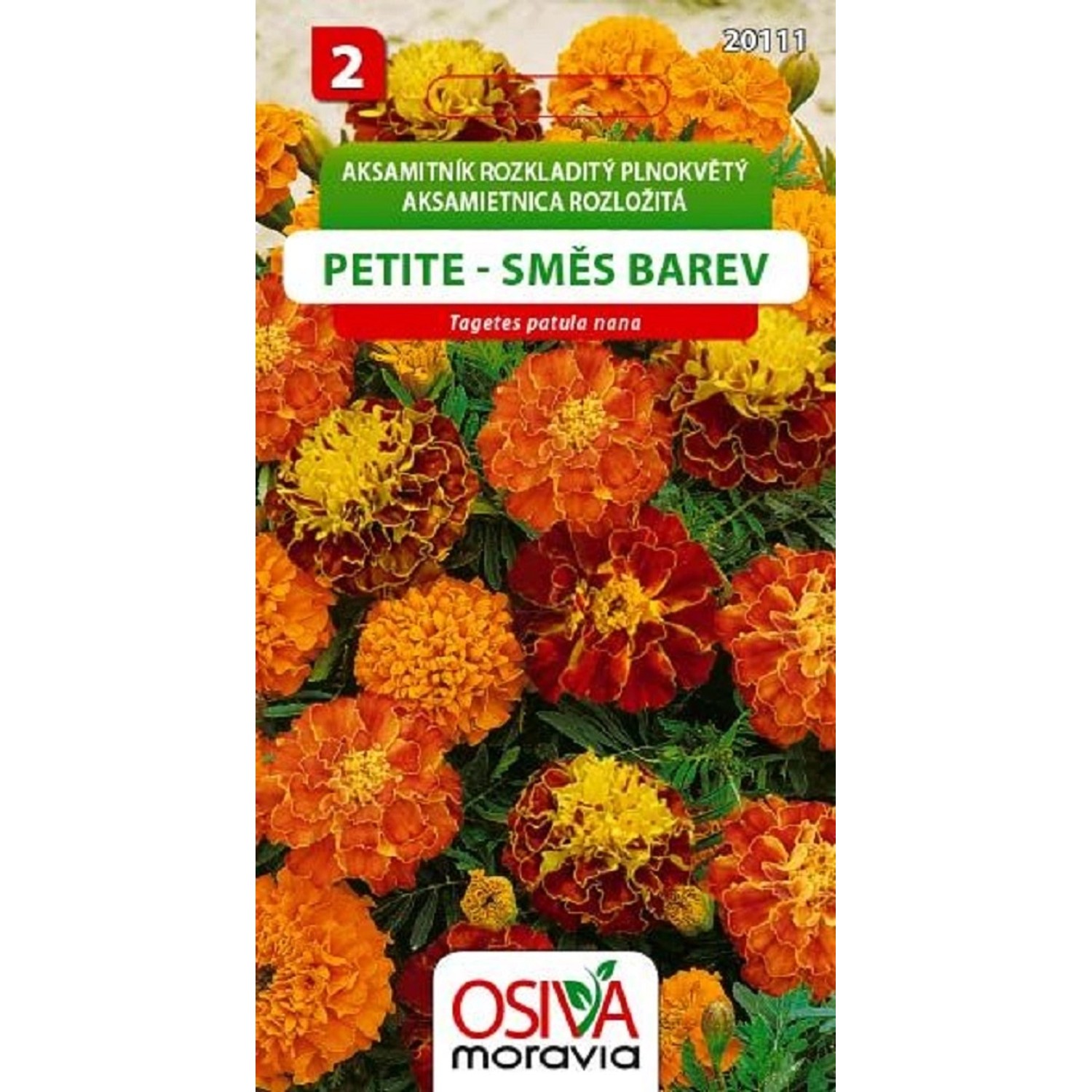 Semínka Aksamitník rozkladitý plnokvětý Petite směs barev (Tagetes patula nana)