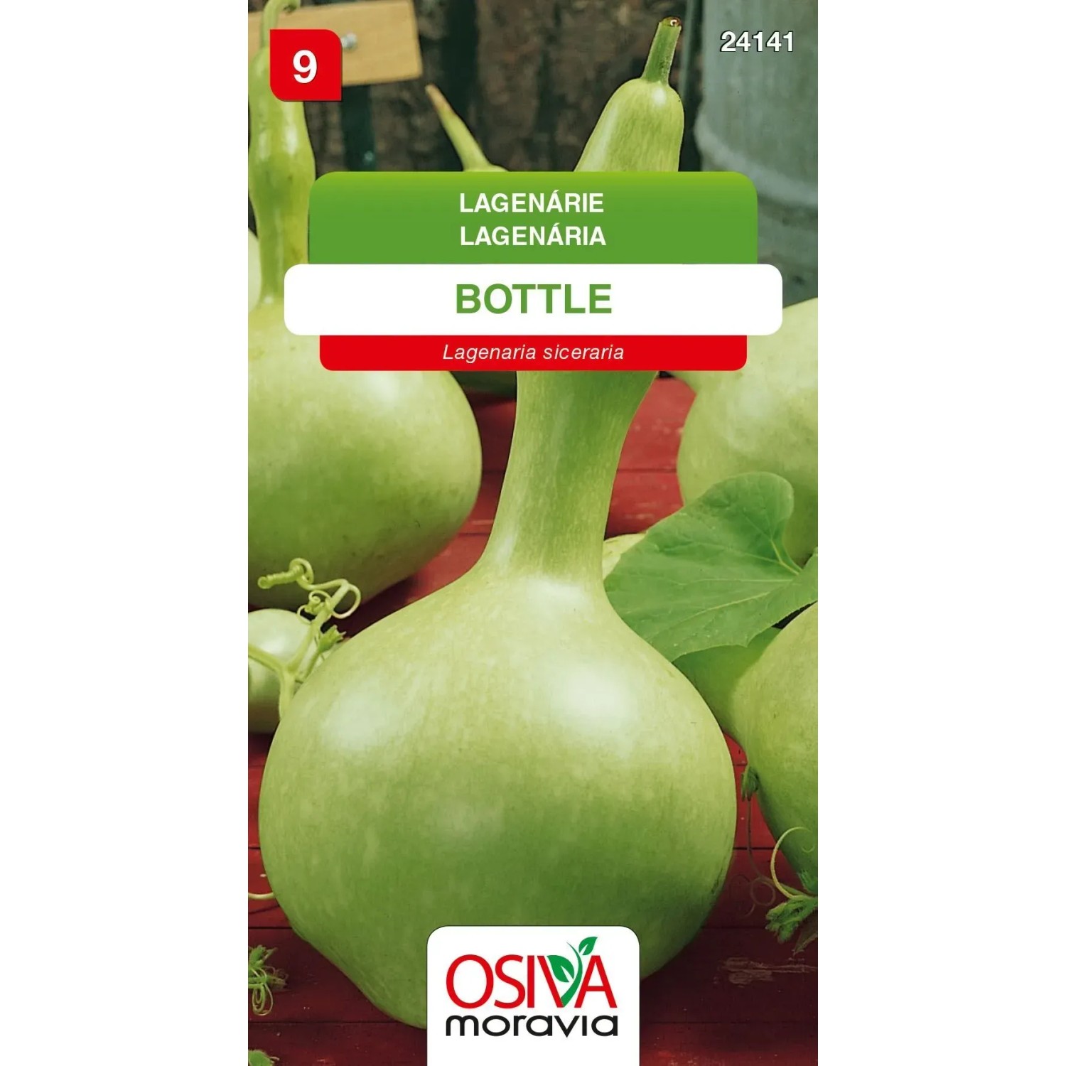 Semínka Lagenárie Bottle (Lagenaria siceraria)