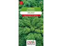Semínka Kadeřávek zelený (Brassica oleracea var. sabellica L.)