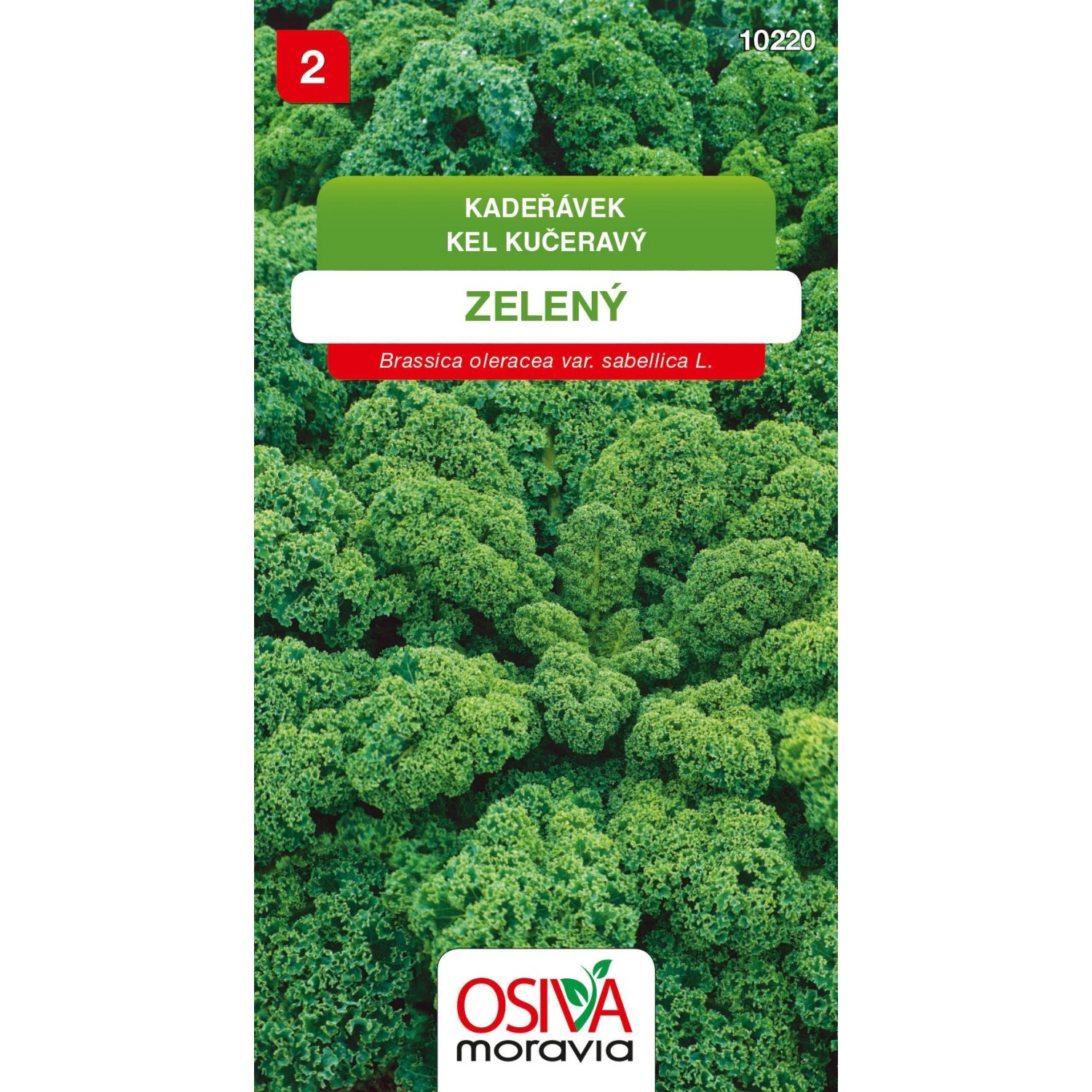 Semínka Kadeřávek zelený (Brassica oleracea var. sabellica L.)