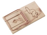 Pastička na myši, 2 ks