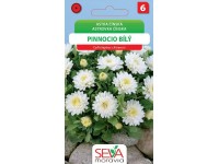 Semínka Astra čínská Pinnocio bílý (Callistephus chinensis)
