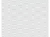 A. S. Creation Přetíratelná vliesová tapeta Meistervlies Creativ bílá 935271