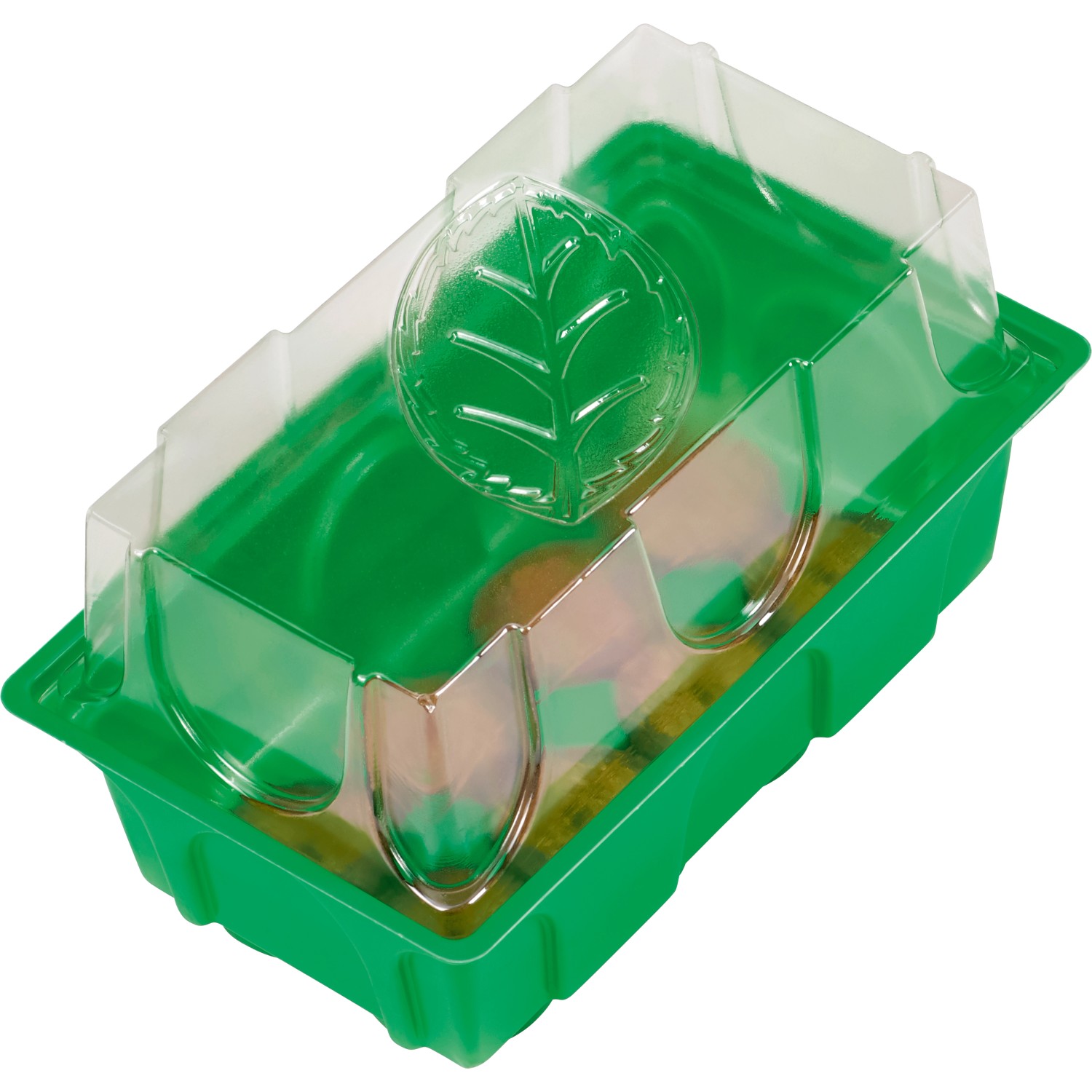 OBI Living Garden Minipařeniště 10 x 4 g, 7 x 26 x 11 cm