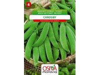 Semínka Hrách setý cukrový tyčkový Carouby (Pisum sativum convar. axiphium)