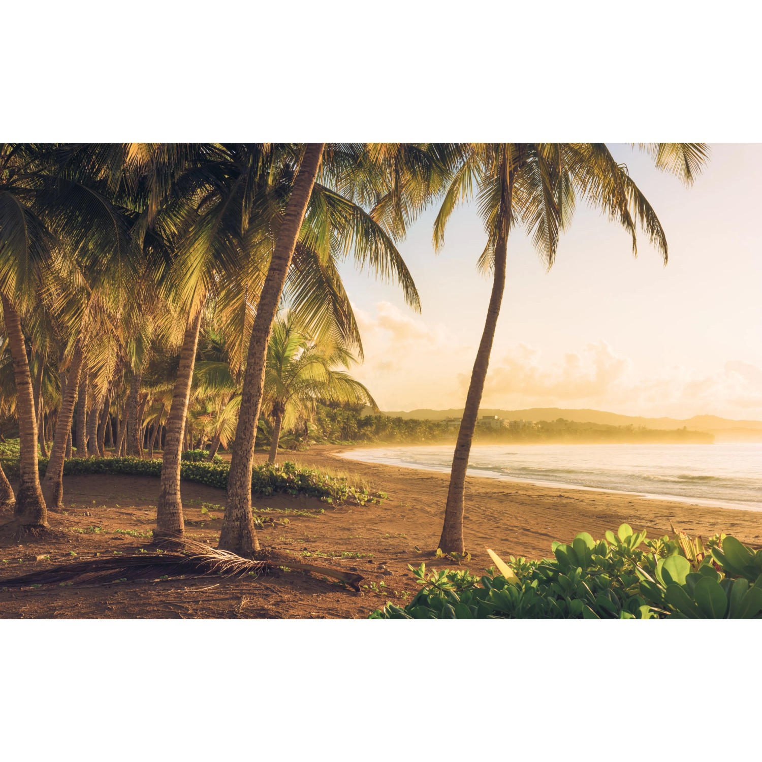 Komar Vliesová fototapeta Golden Lands 400 x 250 cm