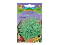 NOHEL GARDEN Šalvěj lékařská NOHEL GARDEN Šalvěj lékařská