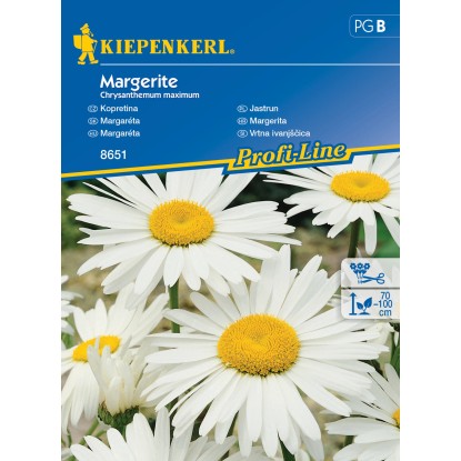 Kiepenkerl Semínka Kopretina Margerite