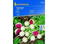 Kiepenkerl Semena Ředkev Red meat