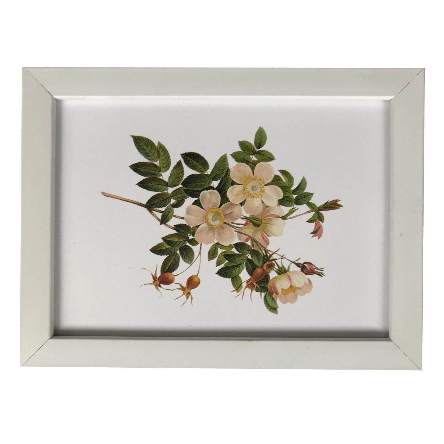 Bondecor Fotorámeček plastový, lišta 16/11 mm, bílý, 24 x 30 cm