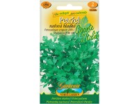 Gardenie Petržel naťová Gigante d´Italia hladká Gardenie Petržel naťová Gigante d´Italia hladká