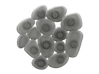 Kleine Wolke Dekorativní kamínky do vany Sassolino kouřově šedé 6 ks