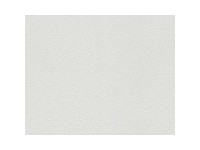 A. S. Creation Přetíratelná vliesová tapeta Meistervlies Creativ bílá 104113 A. S. Creation Přetíratelná vliesová tapeta Meistervlies Creativ bílá 104113